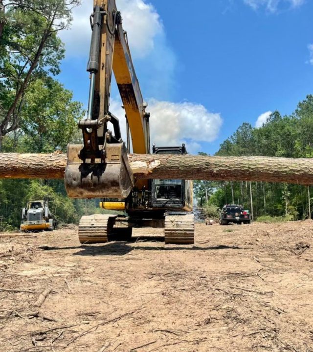 282382058_164240192735364_1605331545945567651_n